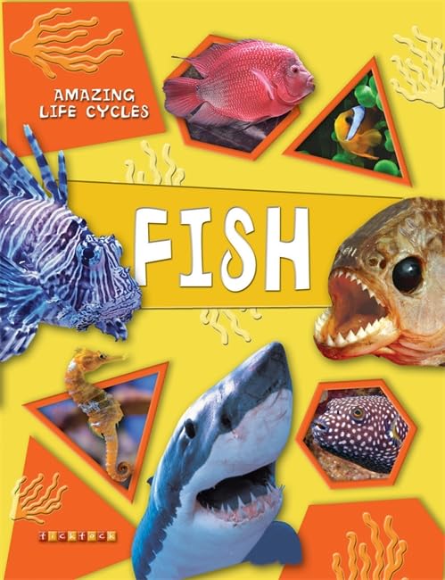 Amazing Life Cycles: Fish