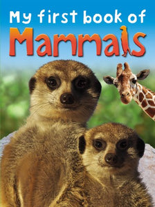 My First Book of Mammals 
