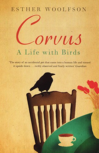 Corvus