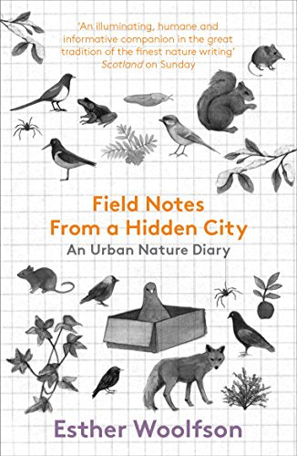 Field Notes From a Hidden City