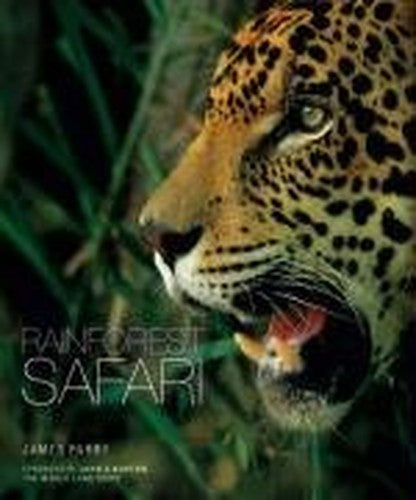Rainforest Safari