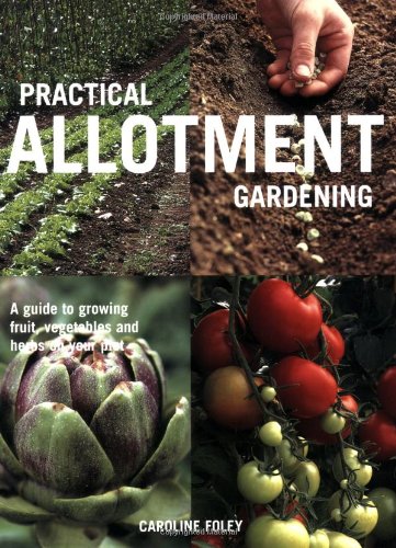Practical Allotment Gardening