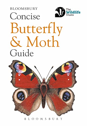 Concise Butterfly and Moth Guide