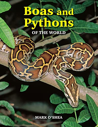 Boas and Pythons of the World