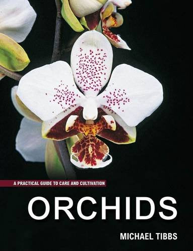 Orchids