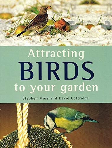 Attracting Birds To Your Garden