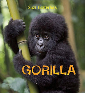 Gorilla 