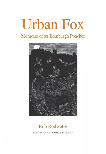 Urban Fox
