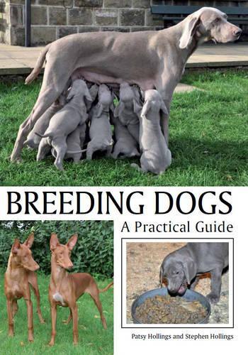 Breeding Dogs