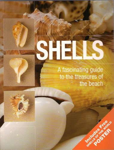 Shells