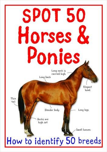 Spot 50 Horses and Ponies