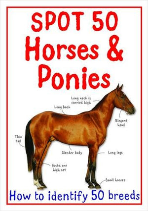 Spot 50 Horses and Ponies