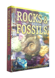 Rocks and Fossils 