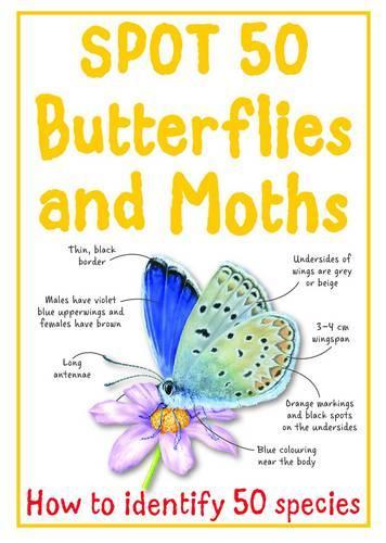 Spot 50 Butterflies and Moths