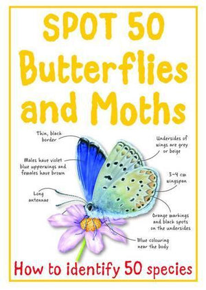 Spot 50 Butterflies and Moths