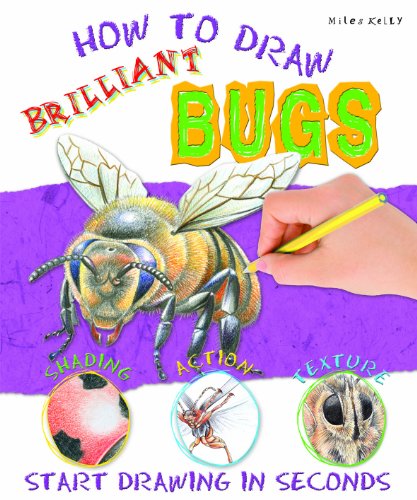 Brilliant Bugs (How To Draw)