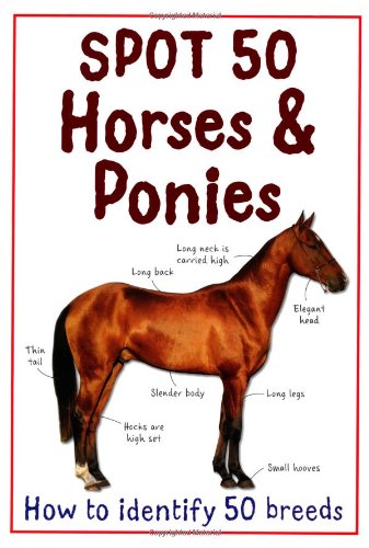 Spot 50 Horses and Ponies