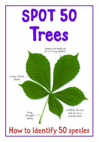 Spot 50 - Trees