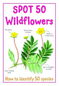 Spot 50 Wild Flowers 