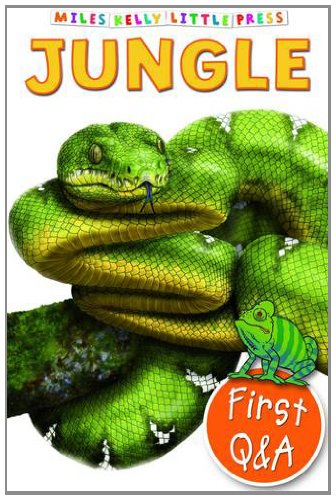 First Q & A - Jungle