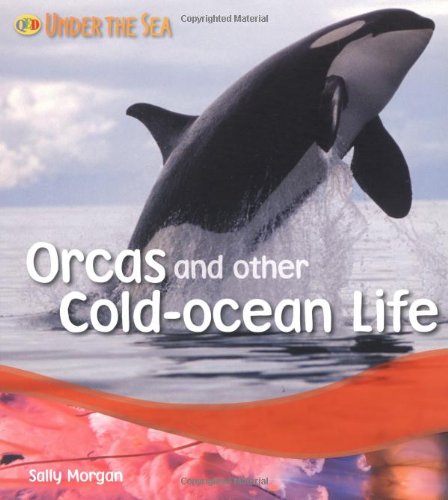 Orcas and Other Cold Ocean Life