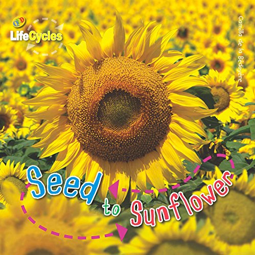Lifecycles: Seed to Sunflower
