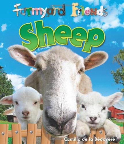 Sheep