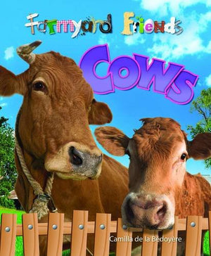 Cows