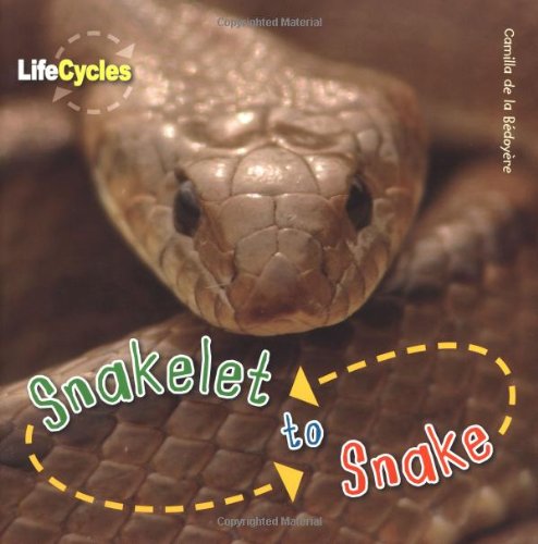 Life Cycles: Snakelet to Snake