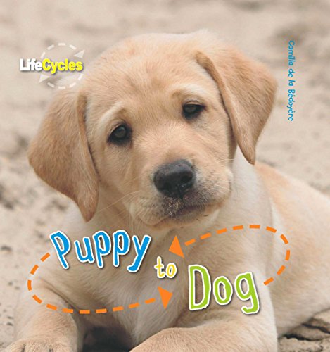 Puppy to Dog