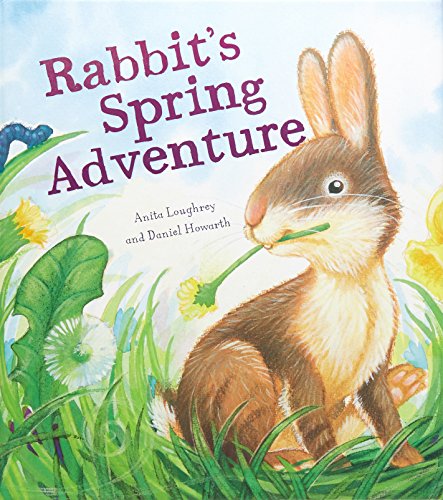 Rabbit's Spring Adventure