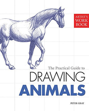 Drawing Animals