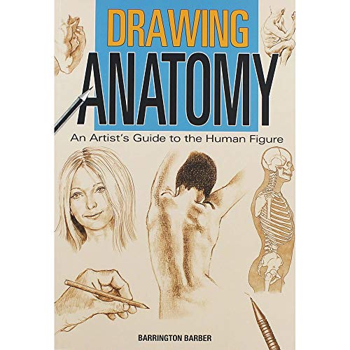 Drawing Anatomy