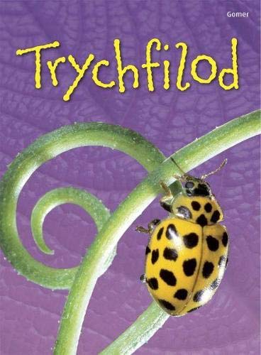 Cyfres Dechrau Da: Trychfilod