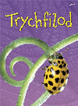 Cyfres Dechrau Da: Trychfilod