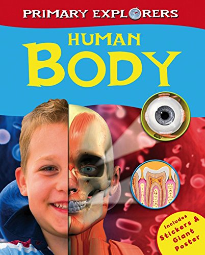 Human Body