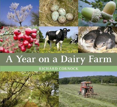 A Year on a Dairy Farm