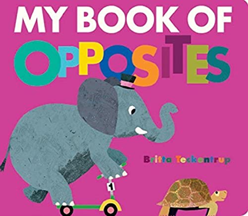 My Book Of Opposites