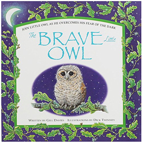 The Brave Little Owl