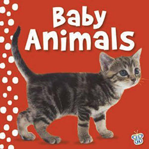 Touch and   Feel - Baby Animals 
