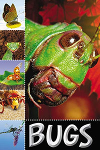 Bugs 