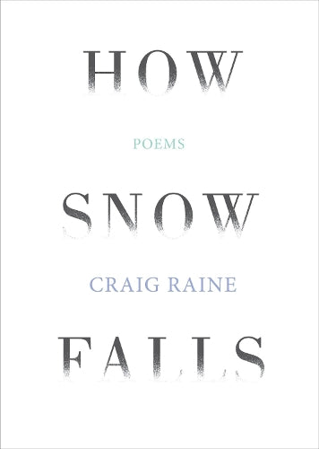 How Snow Falls