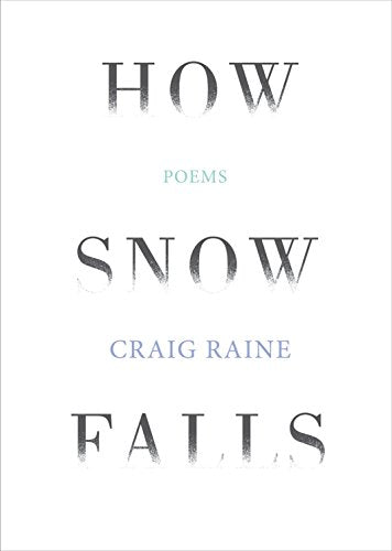 How Snow Falls