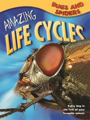 Amazing Life Cycles: Bugs and Spiders