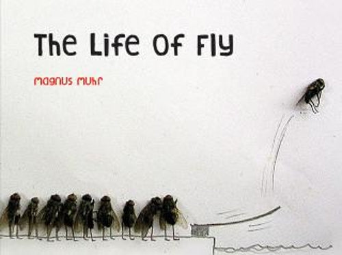 The Life of Fly
