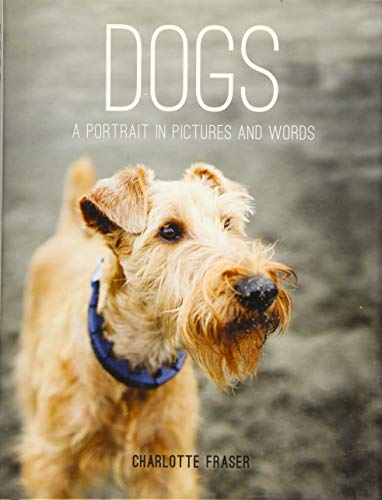 Dogs