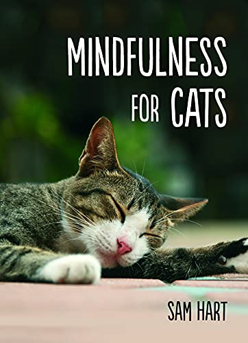 Mindfulness for Cats