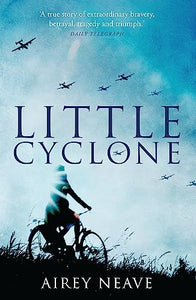 Little Cyclone 