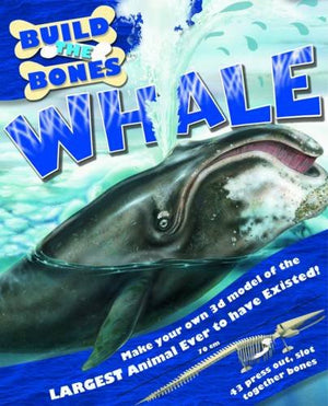 Whale