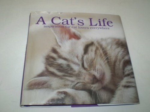 A Cat's Life : inspiration for cat lovers everywhere